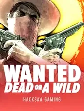 Wanted Dead Or a Wild